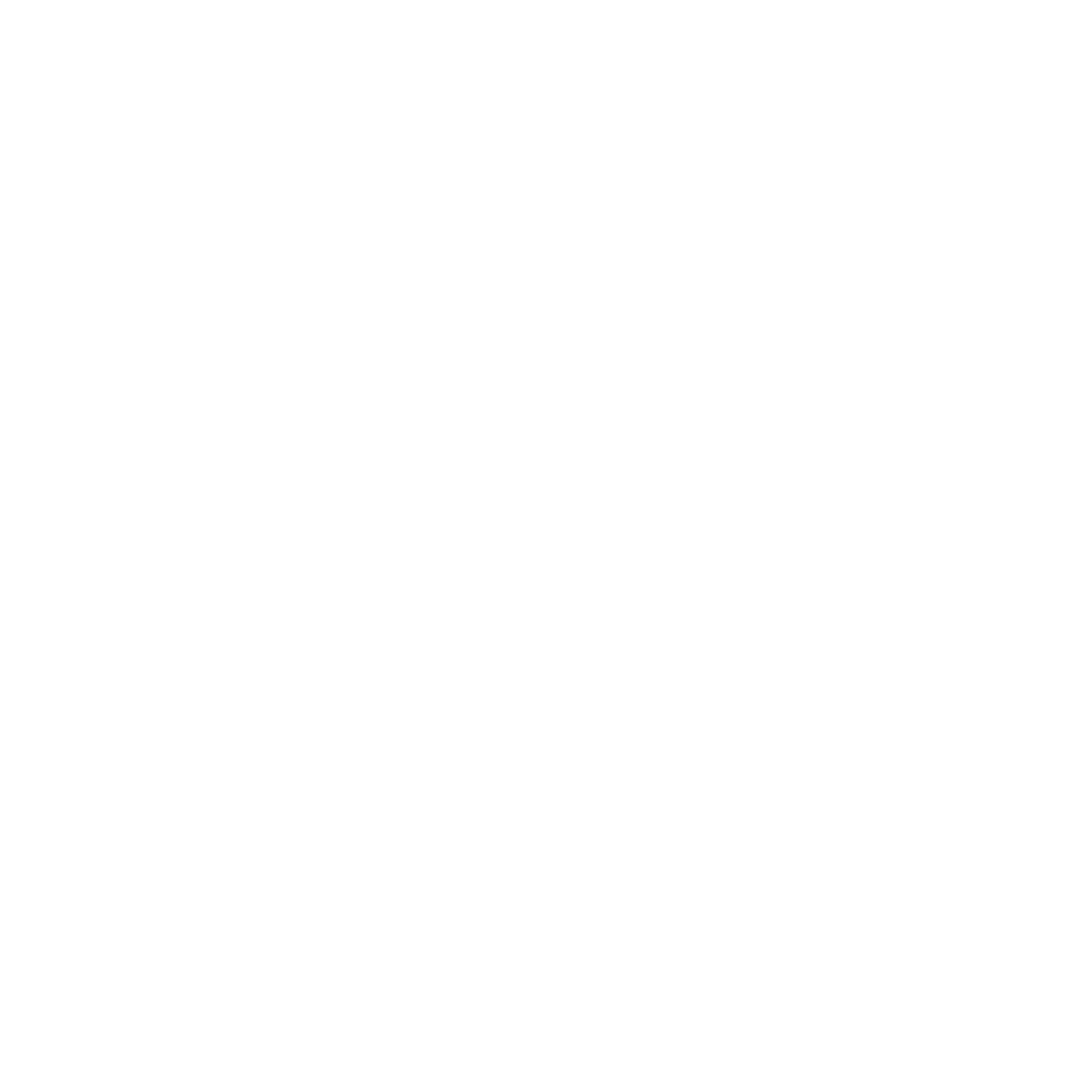 4. The_Prince's_Trust_WHITE